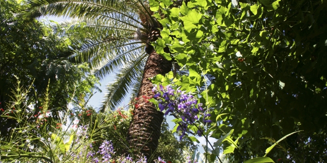 Jard&iacute;n Ex&oacute;tico